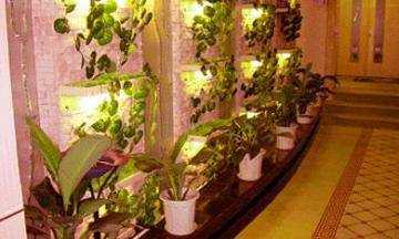 深圳皇悦酒店,图四