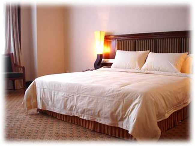 新城市酒店,图四