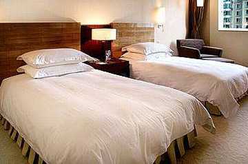 广州鼎龙国际大酒店,图三