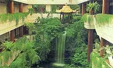 广州白天鹅宾馆,图五