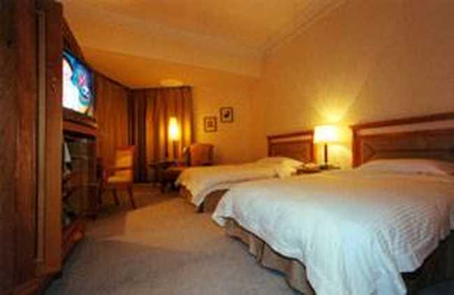 开平潭江半岛酒店,图五