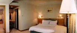 开平潭江半岛酒店,图四