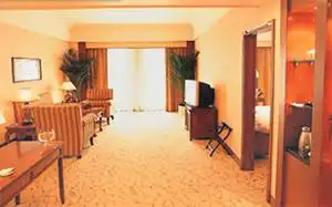 石龙名冠金凯悦大酒店,图六