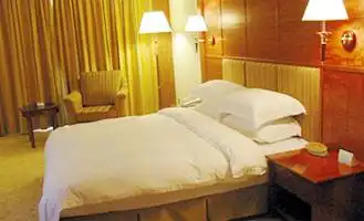 石龙名冠金凯悦大酒店,图四