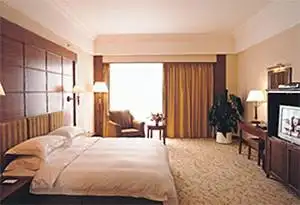 石龙名冠金凯悦大酒店,图七