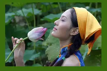 南宁乡村大世界,图八