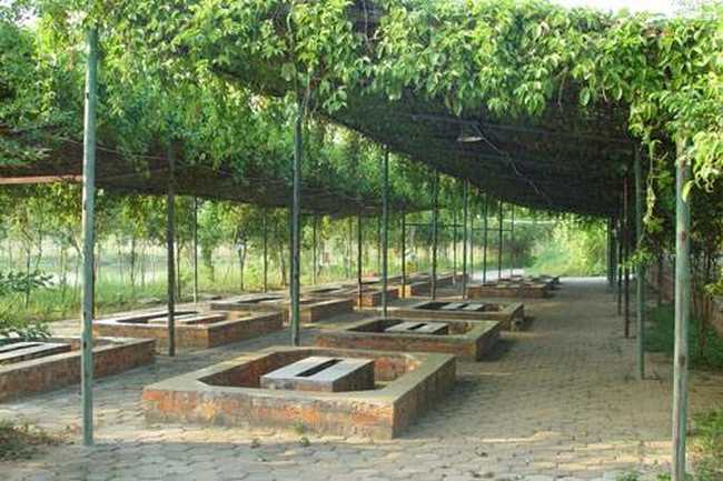 南宁乡村大世界,图二十六