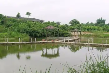 南宁乡村大世界,图十九