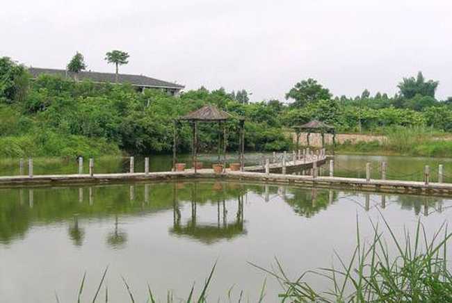 南宁乡村大世界,图十九