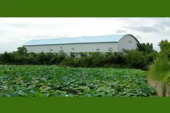 南宁乡村大世界,图六