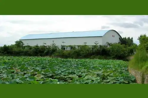 南宁乡村大世界,图六