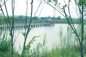 南宁乡村大世界,图十七