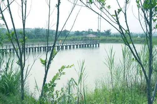 南宁乡村大世界,图十七