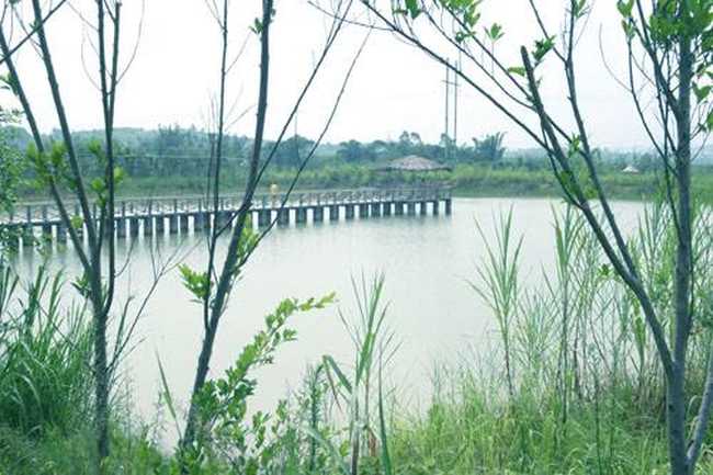 南宁乡村大世界,图十七