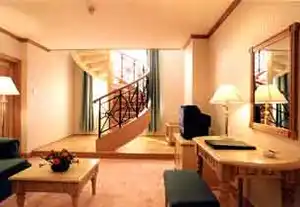 田林金田园大酒店