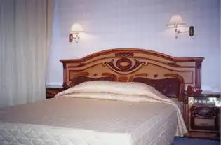 河池九龙大酒店