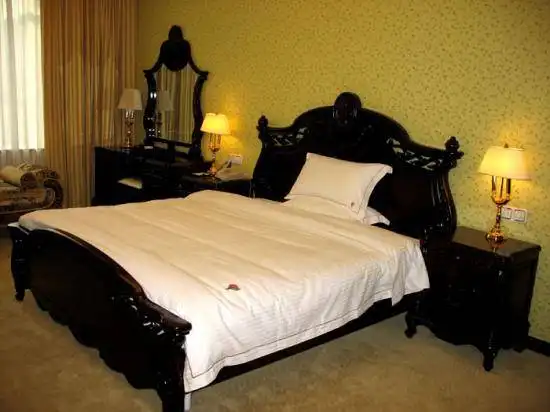 广西河池大酒店,图六