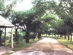 儋州蓝洋海港温泉度假酒店,图六