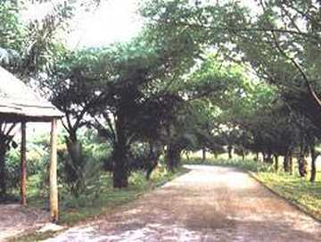 儋州蓝洋海港温泉度假酒店,图六