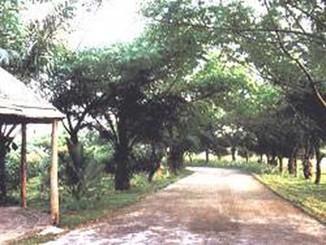 儋州蓝洋海港温泉度假酒店,图六