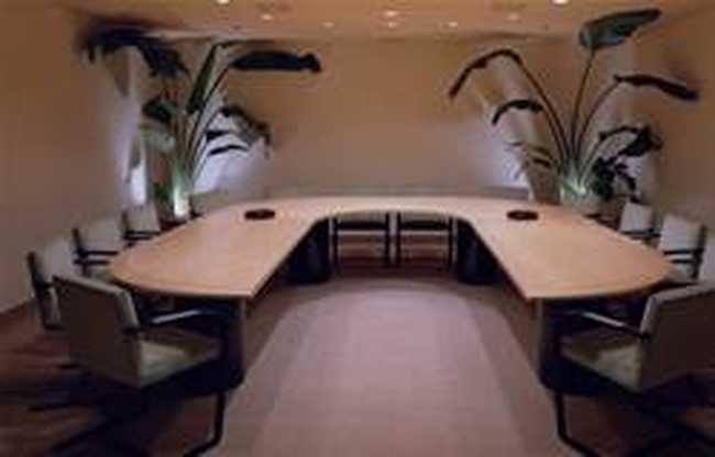 金叶桃园温泉大酒店,图七