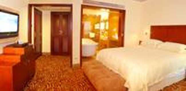 海口金银岛大酒店,图三