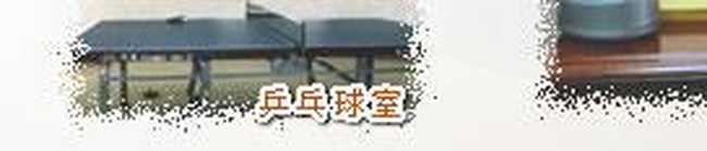 三亚中亚大酒店,图