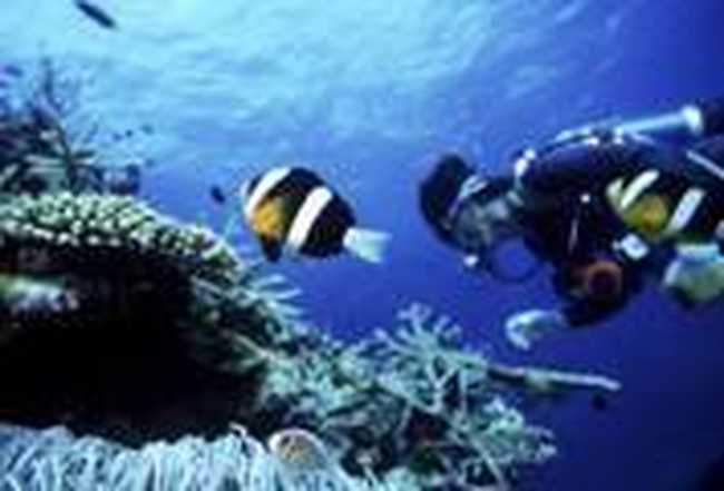 三亚宝宏龙都大酒店,图十一