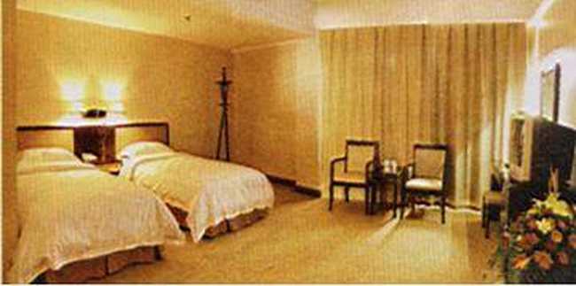 河南财鑫大酒店,图一