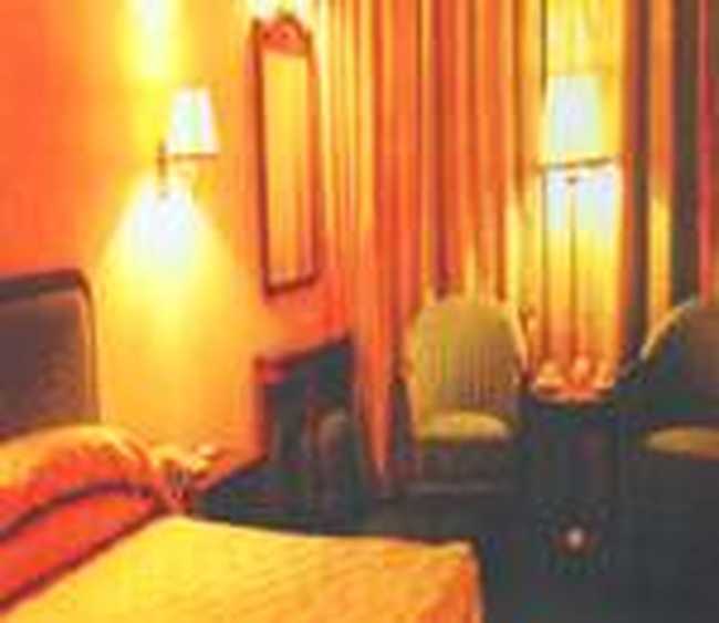 郑州机场温泉大酒店,图三