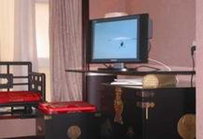 河南京安牡丹城酒店,图二