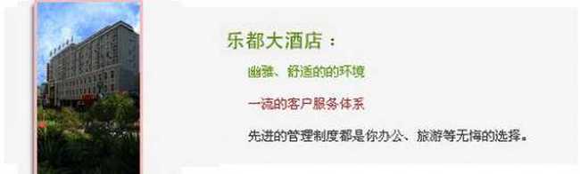 乐都大酒店,图四