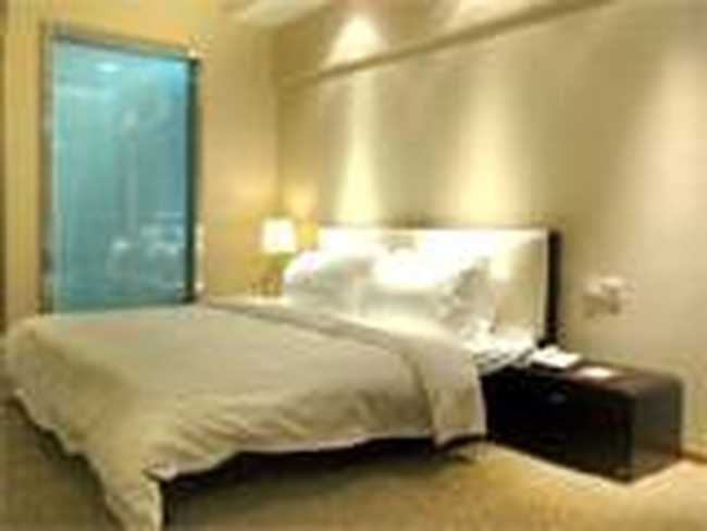 纽柯莱商务酒店,图三