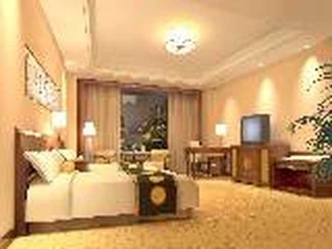 凯旋门华天大酒店,图三