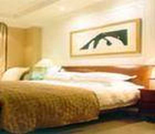 襄樊市长虹大酒店,图二