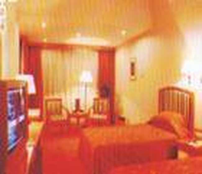 丽源国际饭店,图二