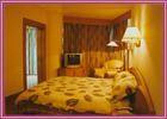 宜昌市白龙大酒店,图二