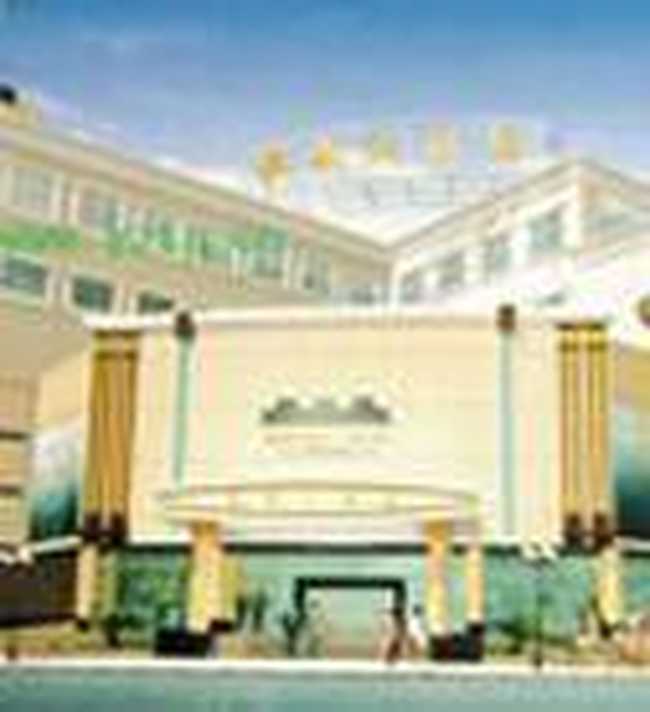 柳子大酒店,图二