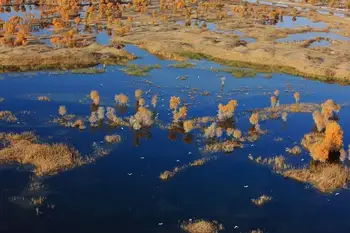 新疆阿克苏塔里木河,图二