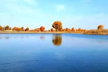 新疆阿克苏塔里木河,图三