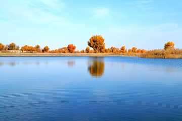 新疆阿克苏塔里木河,图三