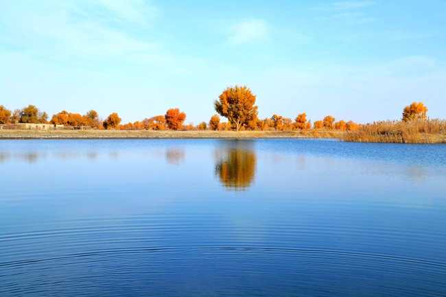 新疆阿克苏塔里木河,图三
