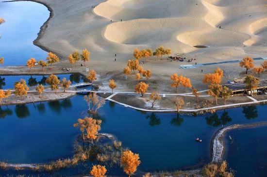 新疆阿克苏塔里木河,图一