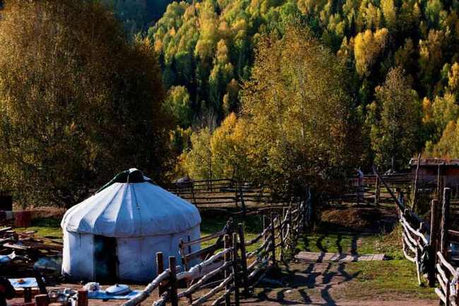 新疆阿勒泰图瓦人部落,图五