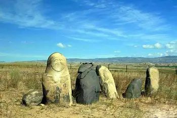 新疆阿勒泰切木尔切克古墓群,图三