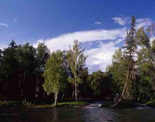 新疆阿勒泰大小东沟景区,图一