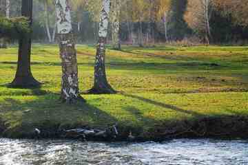 新疆阿勒泰额尔齐斯大峡谷景点介绍,图二