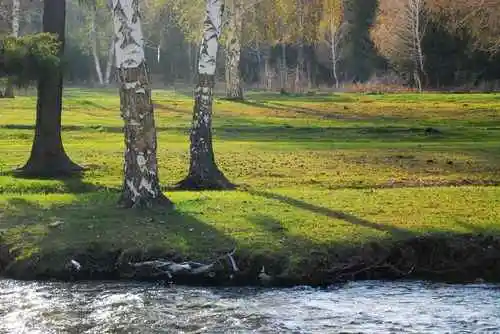 新疆阿勒泰额尔齐斯大峡谷景点介绍