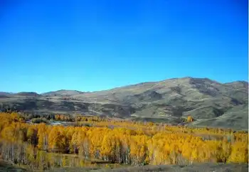 新疆阿勒泰加什哈拉盖牧场,图二