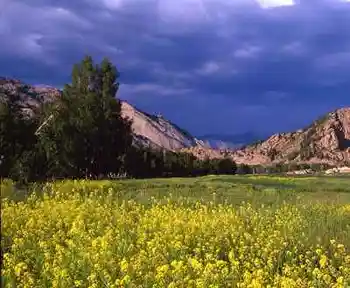 新疆阿勒泰大小东沟景区,图二
